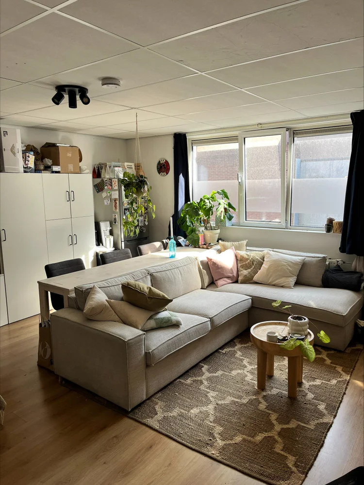 Rental property 4