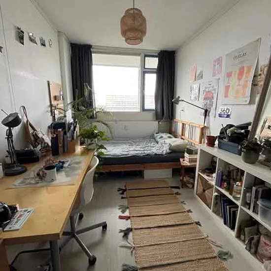 Rental property 4