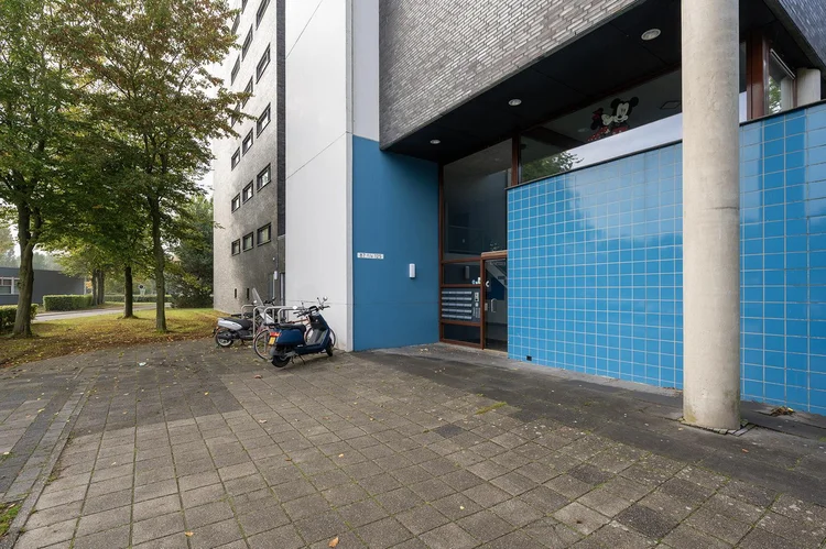 Rental property 4
