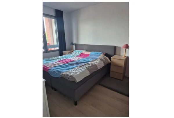 Rental property 4