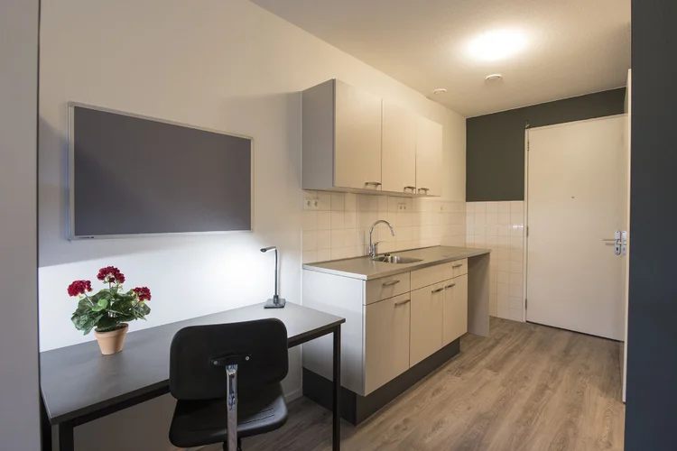 Rental property 4