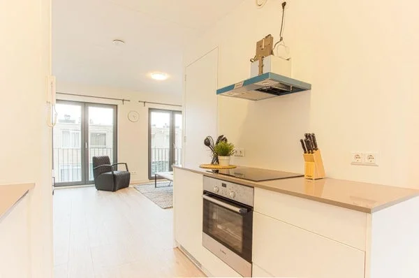 Rental property 4