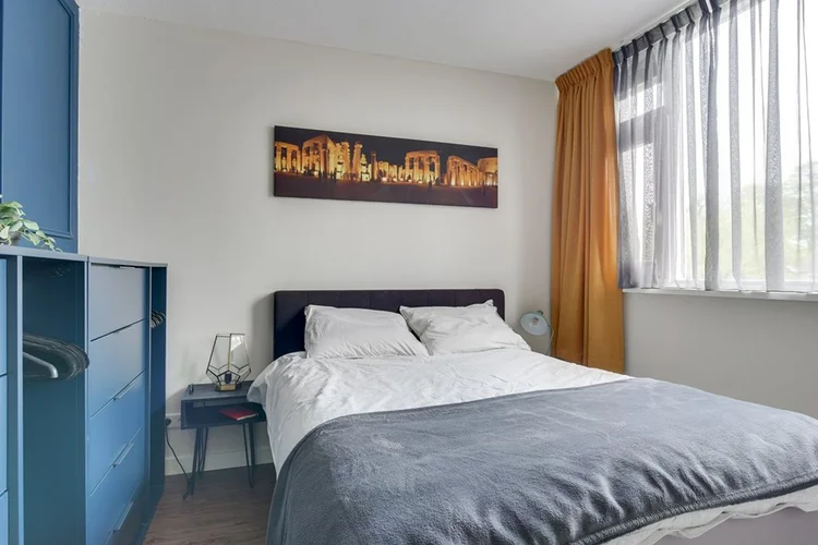 Rental property 4