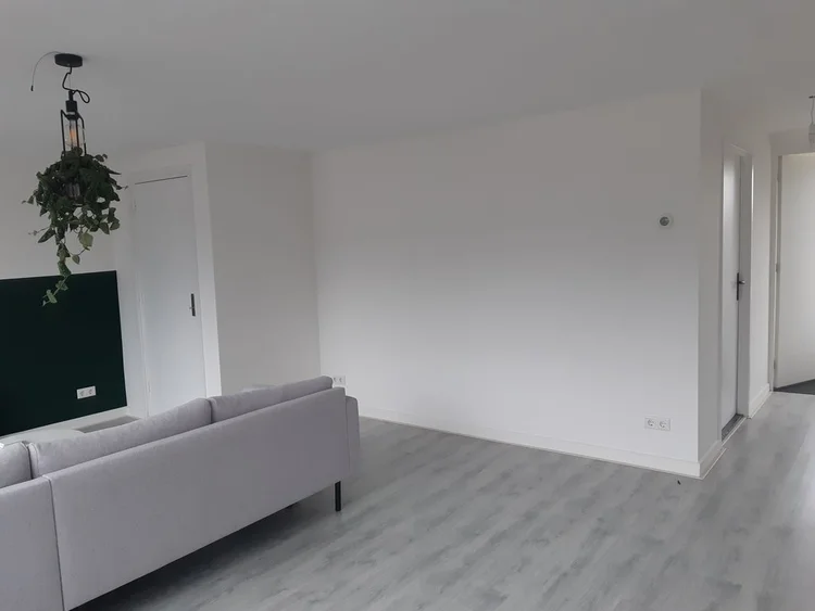 Rental property 4