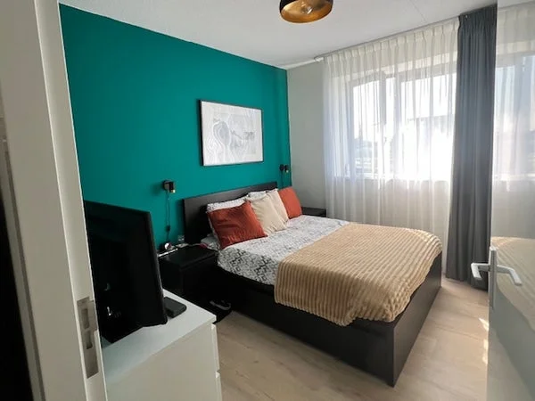 Rental property 4