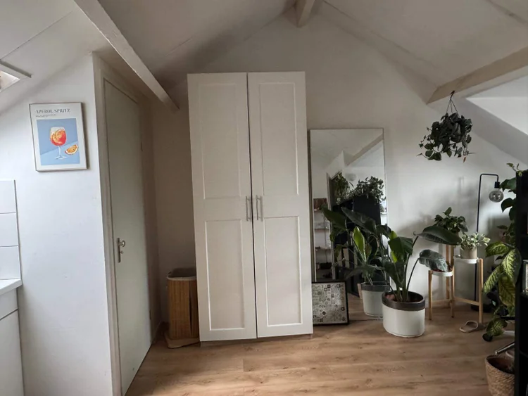 Rental property 4