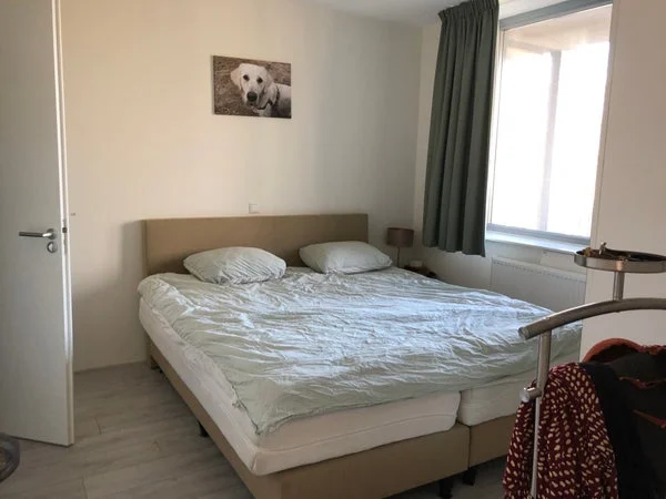 Rental property 5