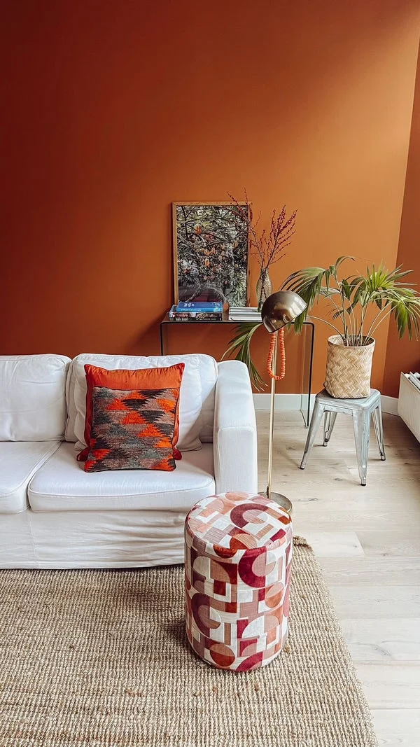 Rental property 5