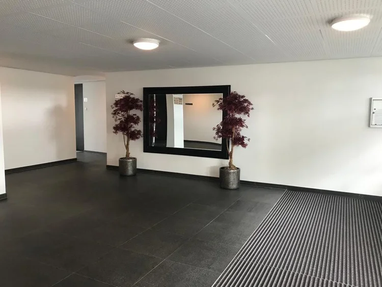 Rental property 5
