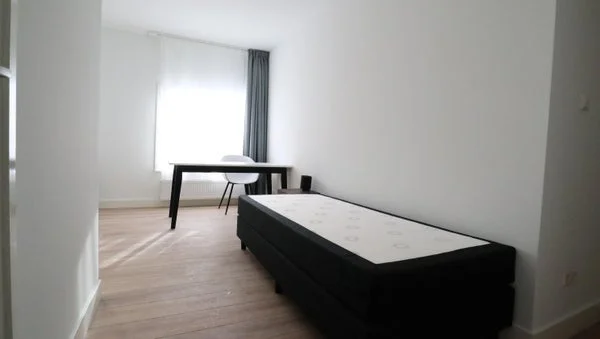 Rental property 5