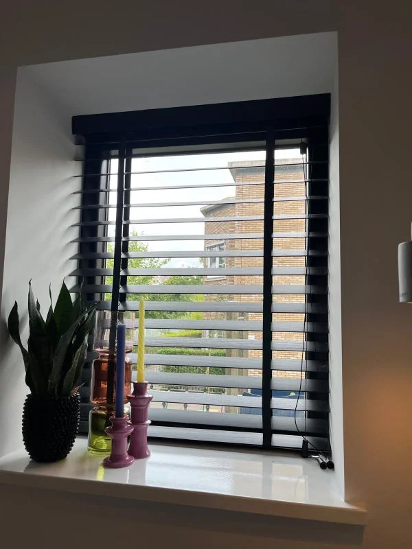 Rental property 5