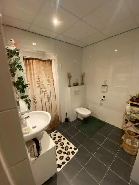 Rental property 5