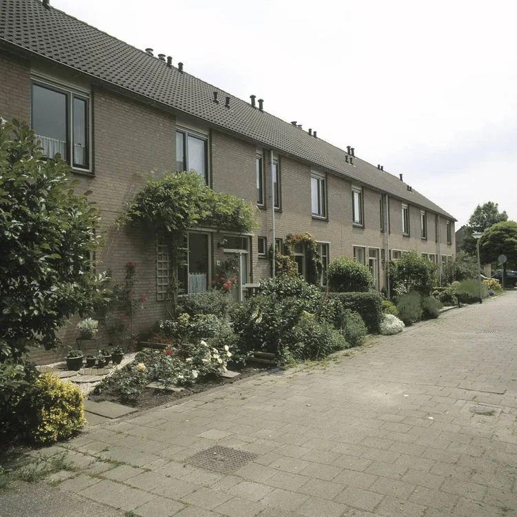 Rental property 5