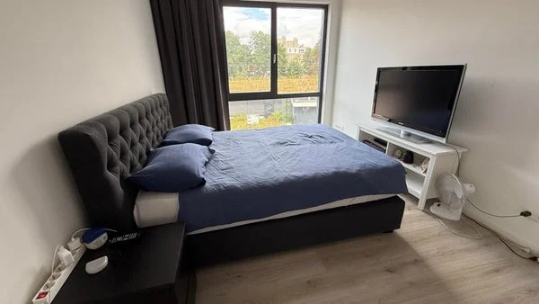 Rental property 5