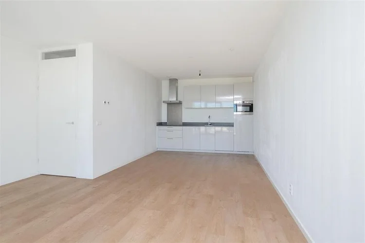 Rental property 5