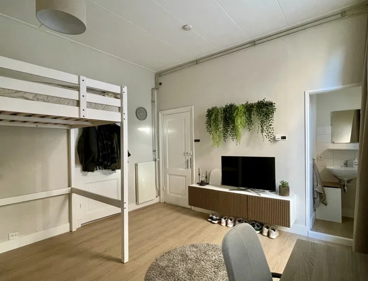 Rental property 5