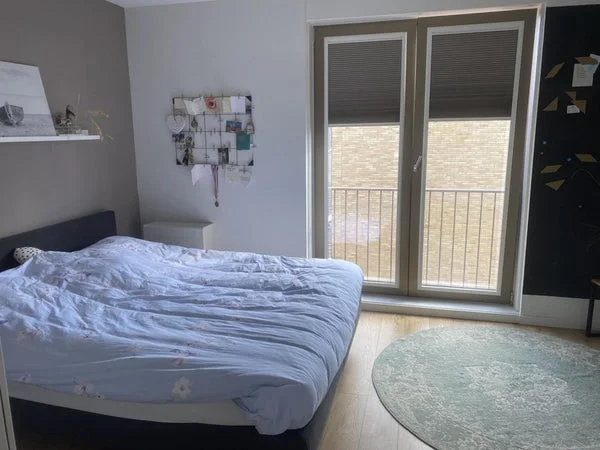 Rental property 5