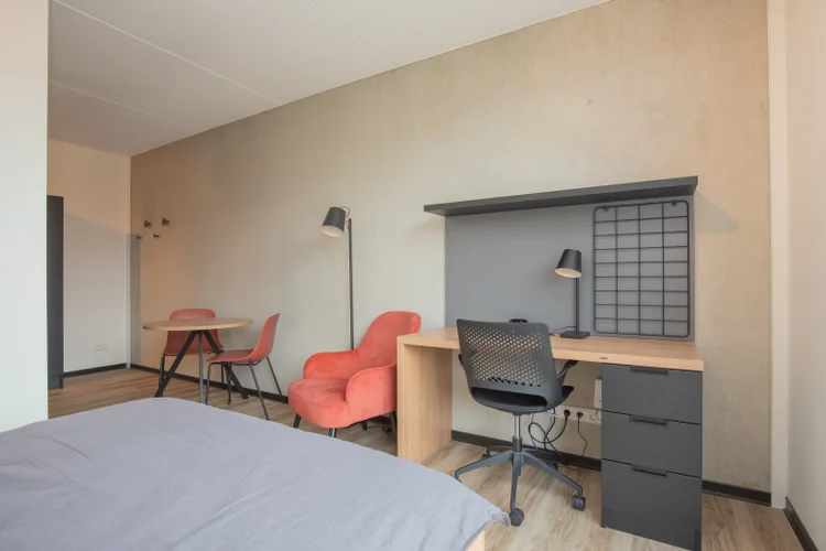 Rental property 5