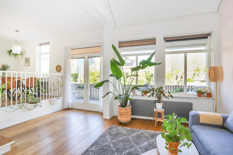 Rental property 5