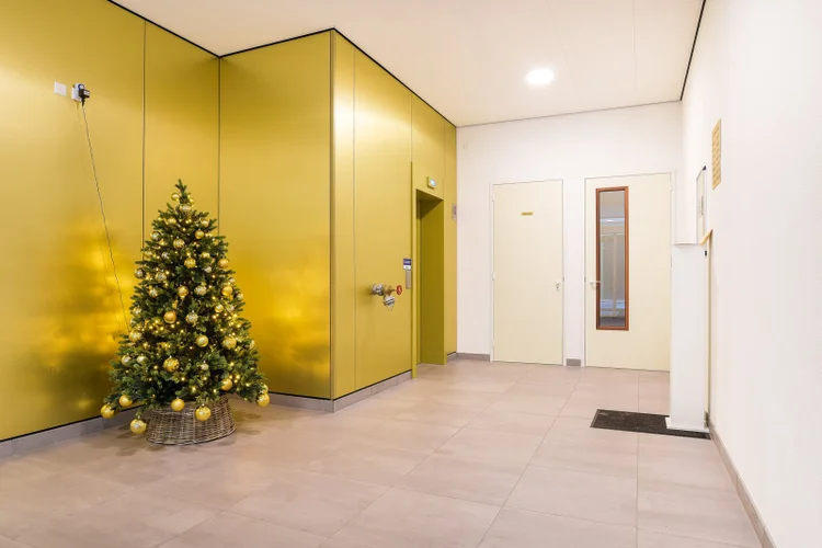 Rental property 5