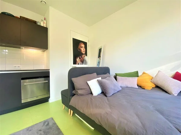 Rental property 5