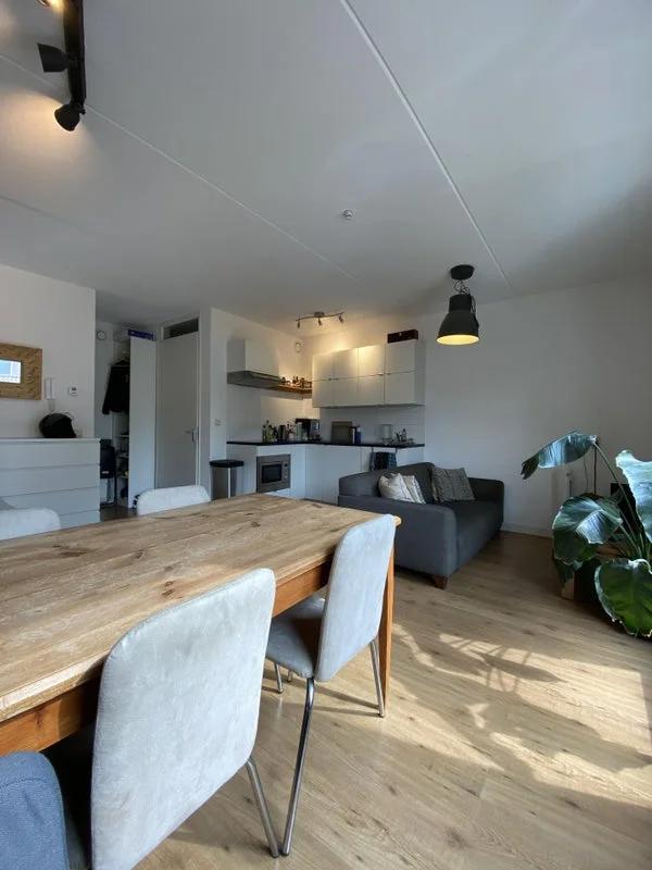 Rental property 5