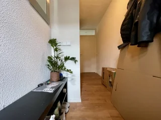 Rental property 5