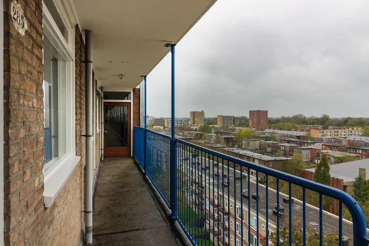 Rental property 5