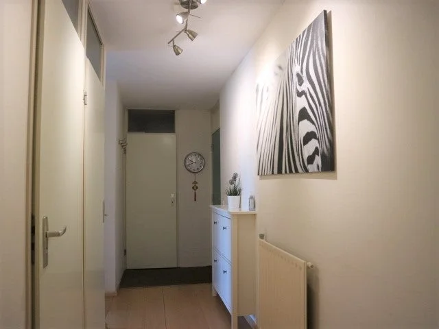 Rental property 4