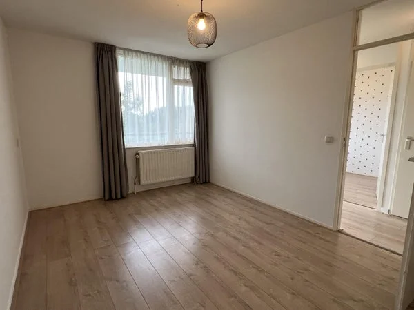 Rental property 5
