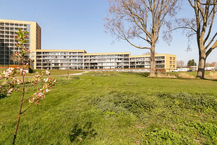 Rental property 5