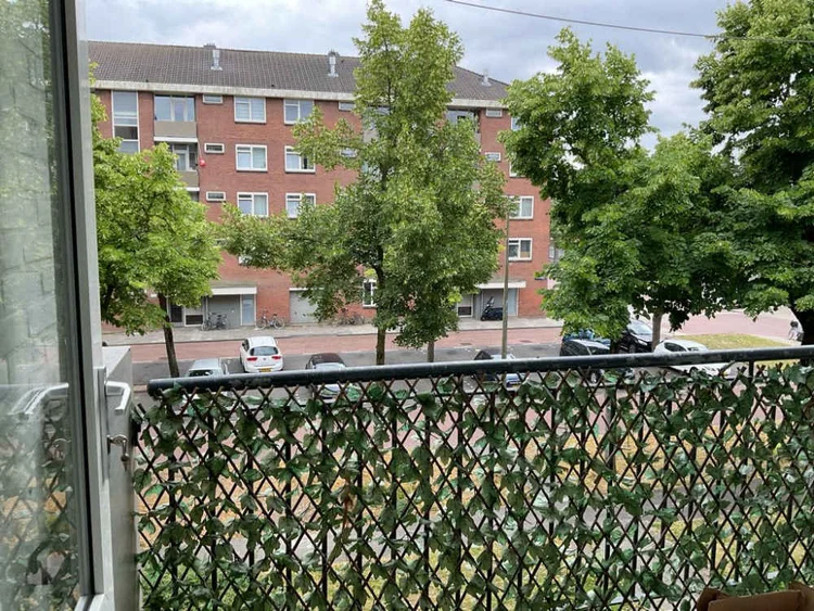 Rental property 5