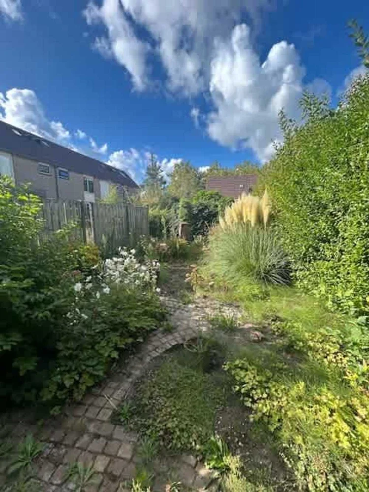 Rental property 5
