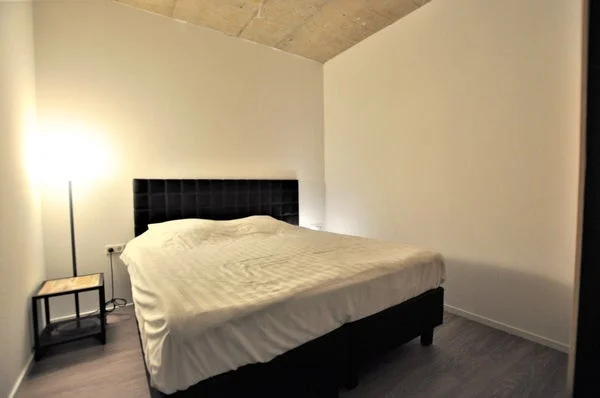 Rental property 5
