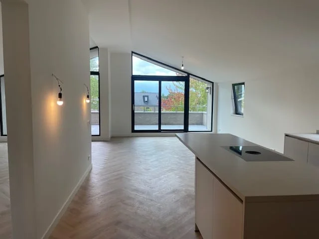 Rental property 5