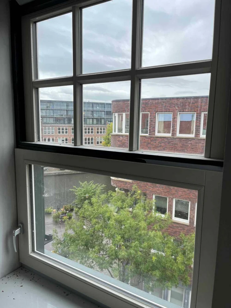 Rental property 5