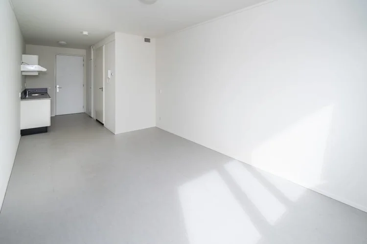 Rental property 5