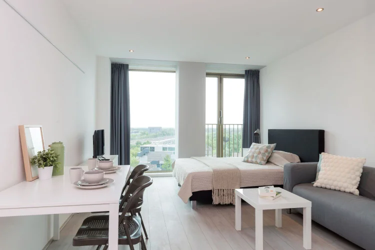 Rental property 5