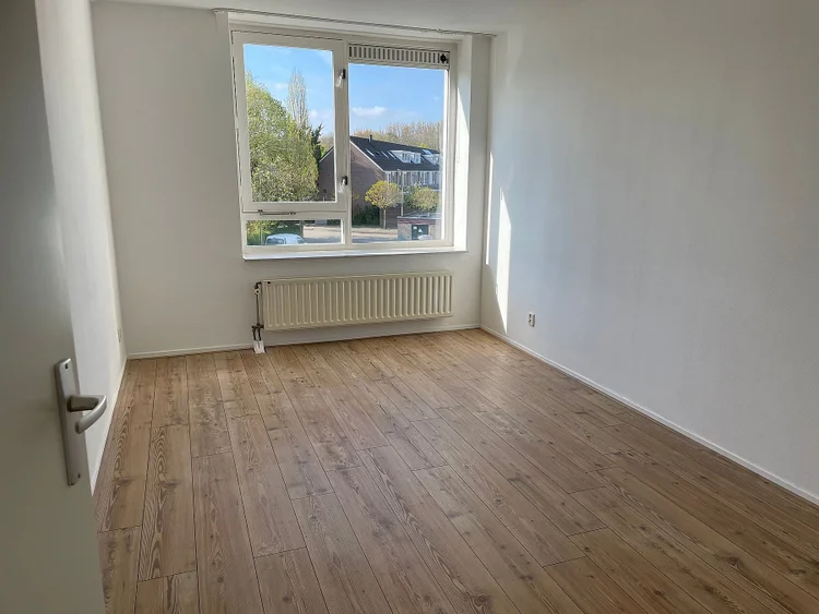 Rental property 5