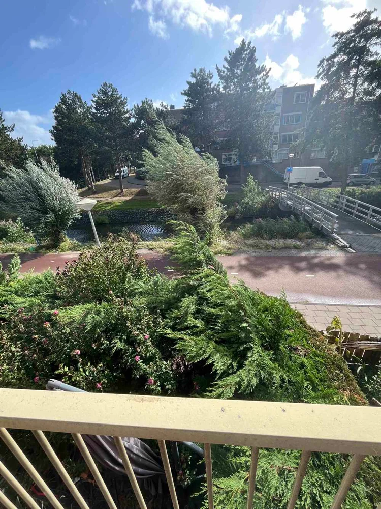 Rental property 5