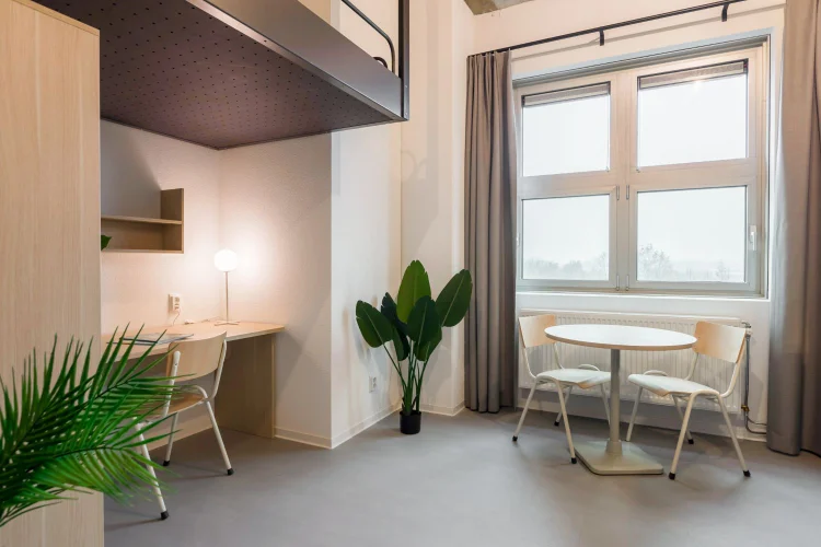 Rental property 5