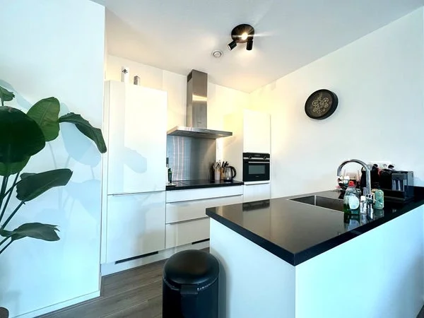 Rental property 5
