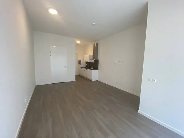 Rental property 5