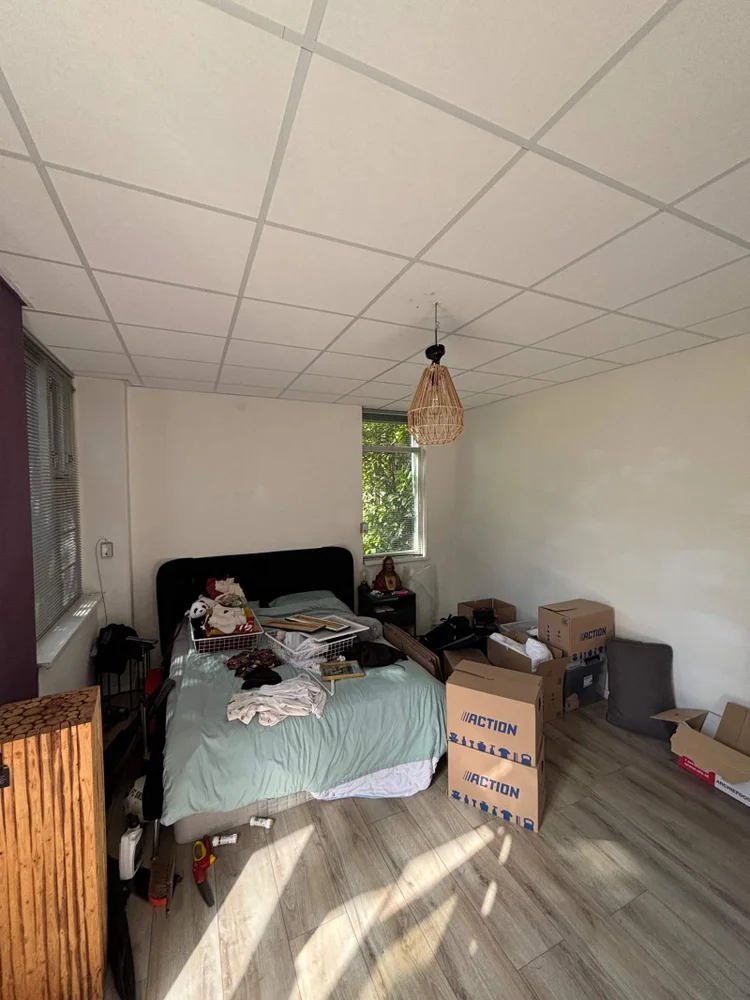 Rental property 5