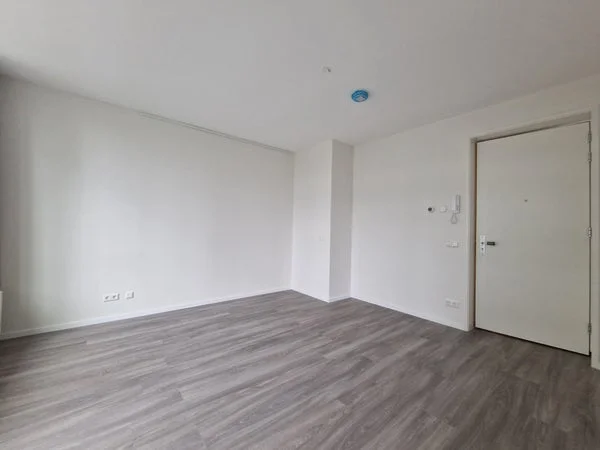 Rental property 5
