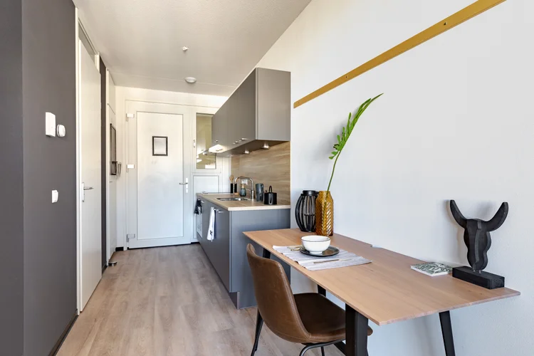 Rental property 5