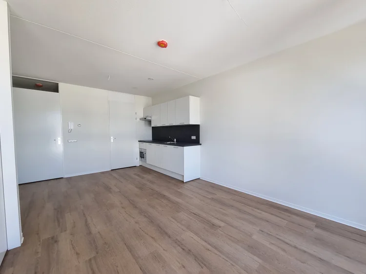 Rental property 5