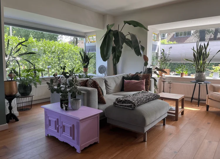 Rental property 5
