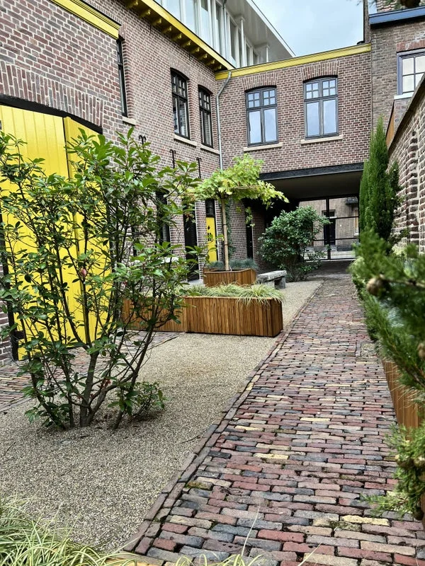 Rental property 5
