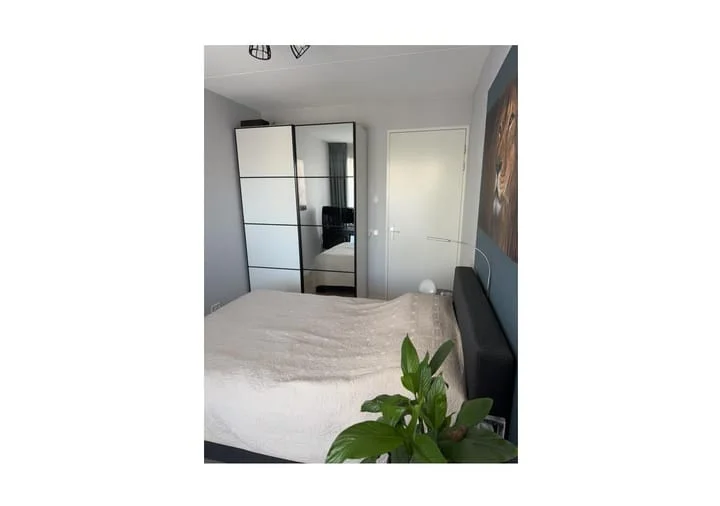 Rental property 5